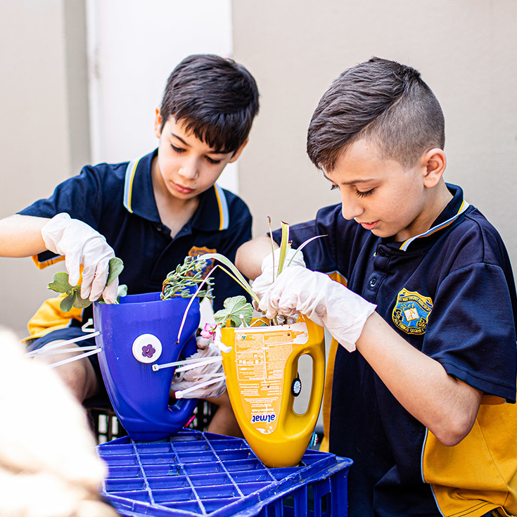 Student Wellbeing at St Mathews Primary Windsor