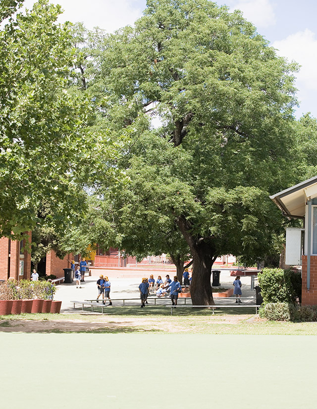 St Mathew's Catholic Primary Windsor