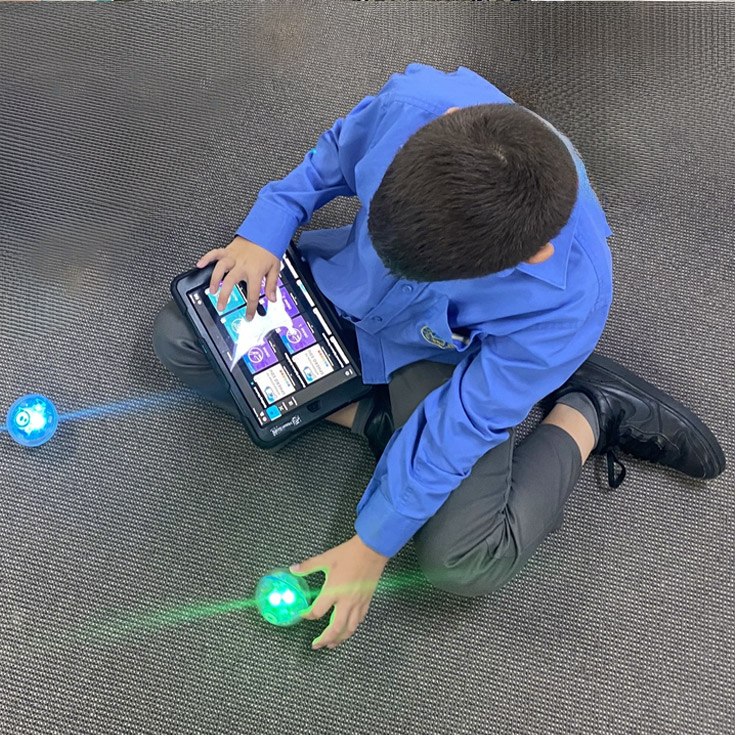 Boy with programmed bots at St Mathew's Catholic Primary Windsor