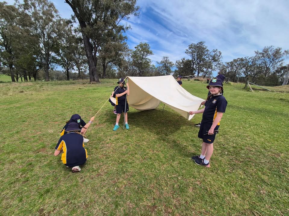 542973864502303_1462292329237114-1