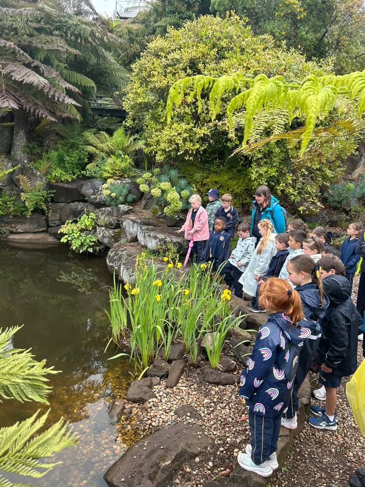 542973864502303_1472179551581725-1