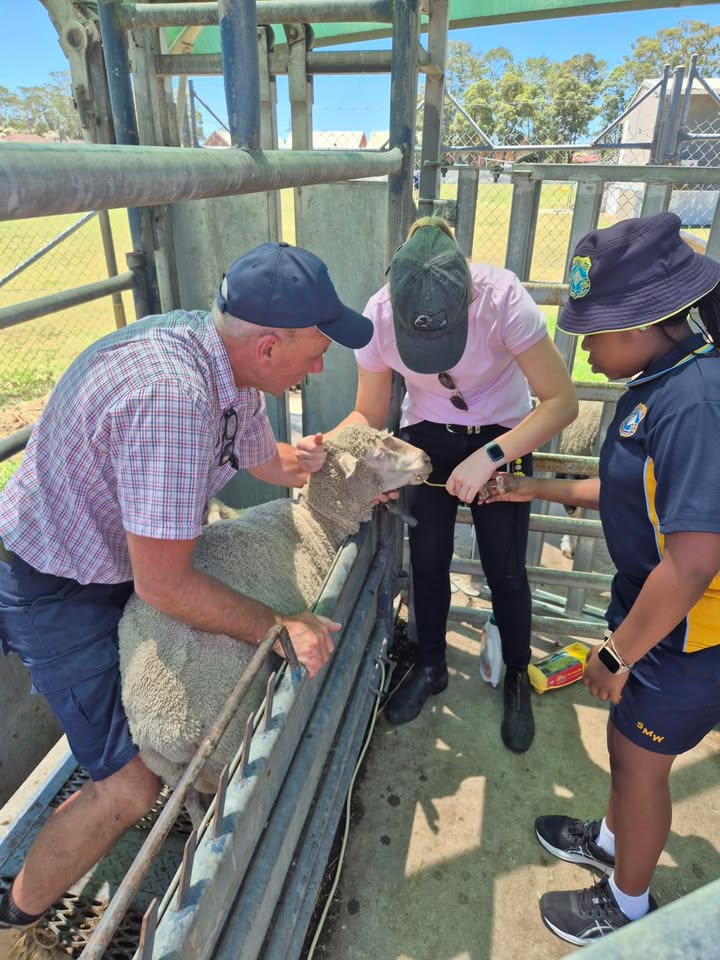 542973864502303_1493852719414408-1