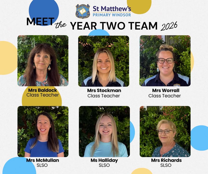 542973864502303_1545796497553363-1