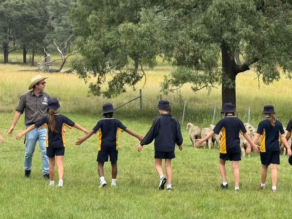 542973864502303_1610388587760820-1